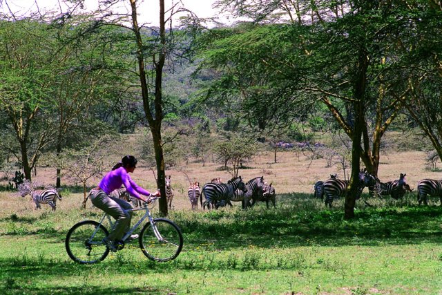 KTF_Kenya's tweet image. #WhyKenyaIsTheBestCountry World's Leading #SafariDestination @WTravelAwards