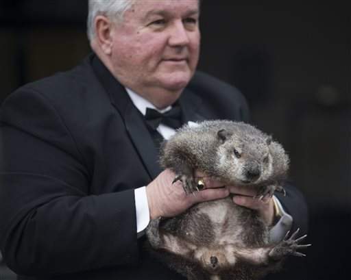 recordonline's tweet image. Groundhogs Chuck and Phil in agreement: Early spring is coming dlvr.it/KNfHfB