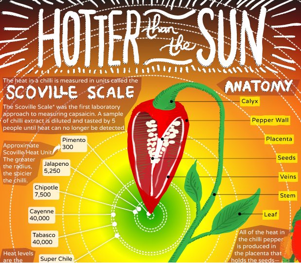 ORLChiliCookoff's tweet image. Scoville Chili Heat Index

#Chilihead #OrlChilicookoff #Chili #Orlando