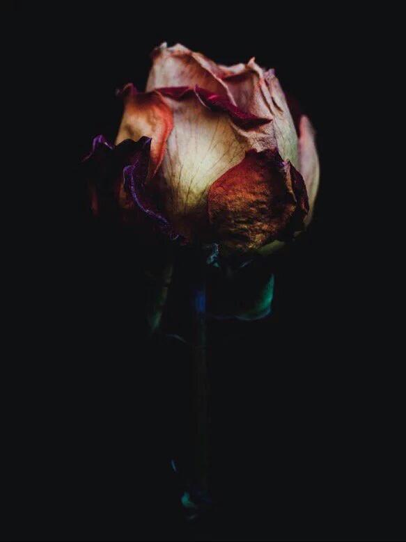 mankalf (@doerietyd) on Twitter photo 