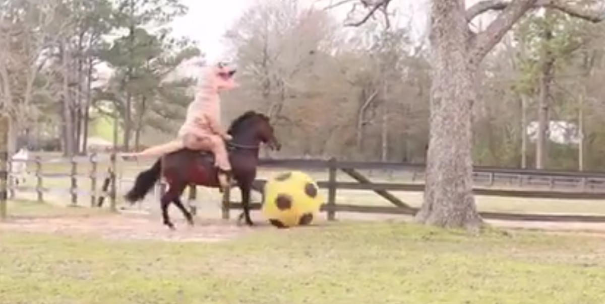 HORSE_NATION's tweet photo. Viral video alert: this guy in a #Trex suit riding a #PasoFino. https://t.co/2bxwRYj8VG #equestrians #arecrazy https://t.co/1r2fFPpDa1