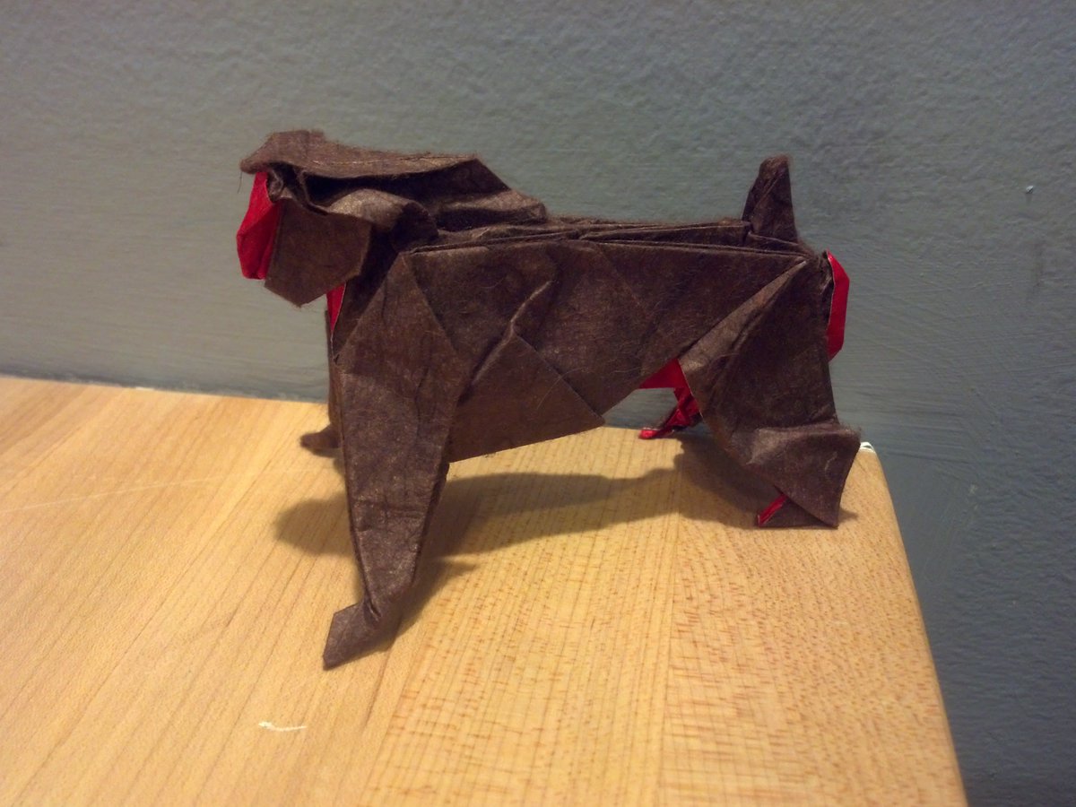 Vestboy_Myst's tweet image. #18/20 japanese macaque (35cm foil backed unryu) from 'works of komatsu' #origami