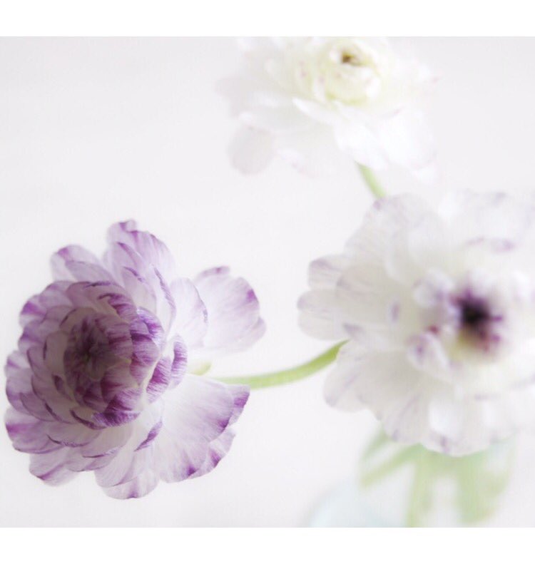 🍇 #flowerpowersiseñor