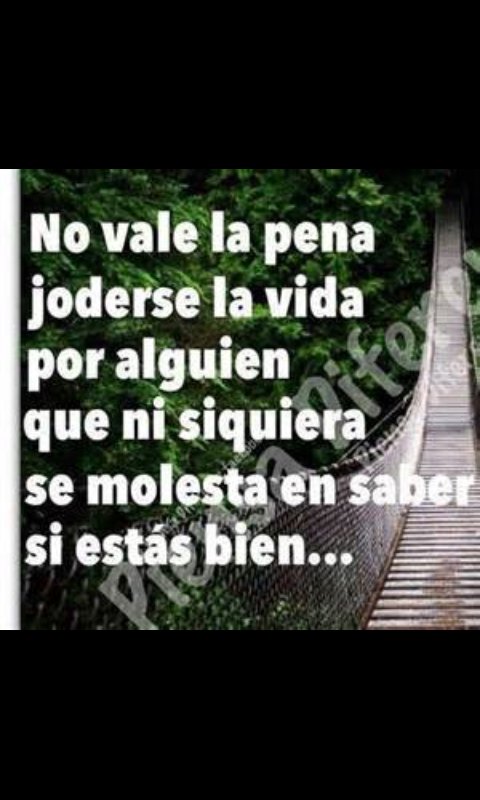 gemmaca97's tweet image. 