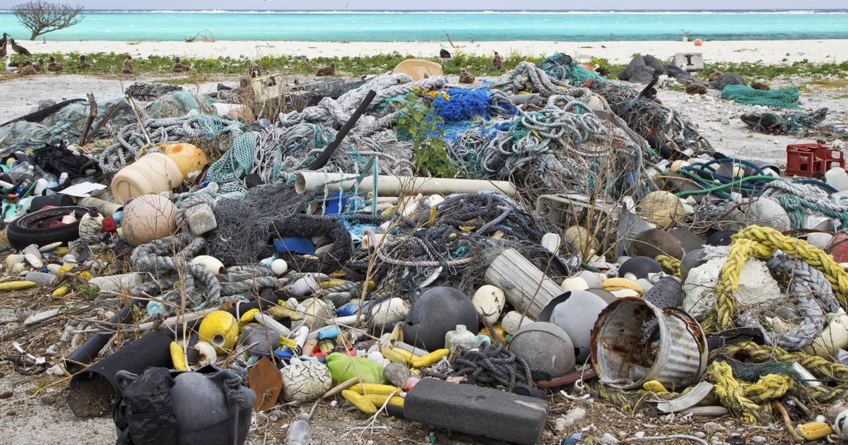 Ozoshare's tweet photo. The Oceans Will Contain More Plastic Than Fish By 2050: https://t.co/petdZ30XHV #ocean #plastic #pollution https://t.co/de2HvoqIn0
