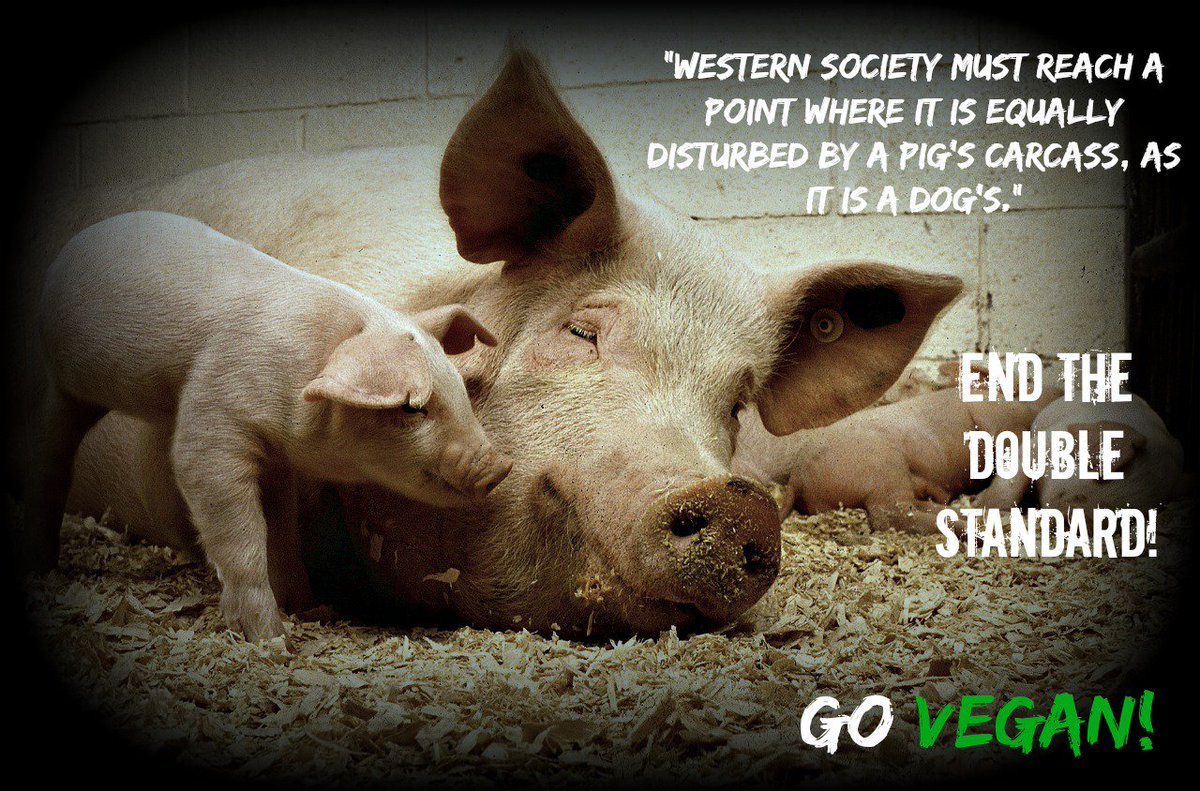 End The Double Standard! #GoVegan #LiveVegan #farm365 #NonHumanPerson #Veganism #SomeoneNotSomething #animalrights