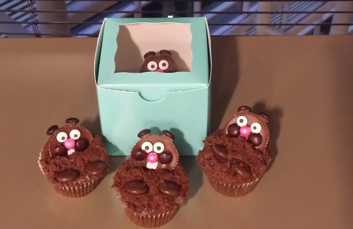 Datalex's tweet photo. Happy #GroundHogDay everyone! The @Datalex US office Celebrating (hopefully) an early spring with GroundHog cupcakes https://t.co/jTqUxlLa0A