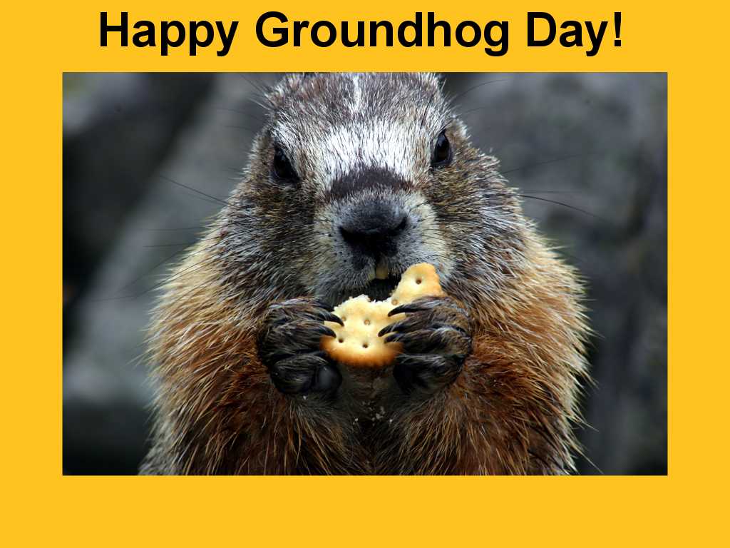 plaquesawards's tweet photo. Happy Groundhog Day! Let's hope Winter is over soon! https://t.co/Q0wlWIJ27B