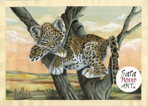 SaraRossoArt's tweet photo. #PawsPlease #handmade #portraits #customorders of #wild #animals and #pets our #friends by #SaraRossoArt https://t.co/I1dGHUltMa