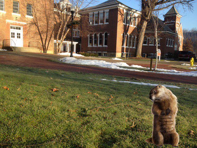 PennWCalifornia's tweet photo. Nothing to see here! #GroundhogDay #EarlySpring https://t.co/6fL001WTVr