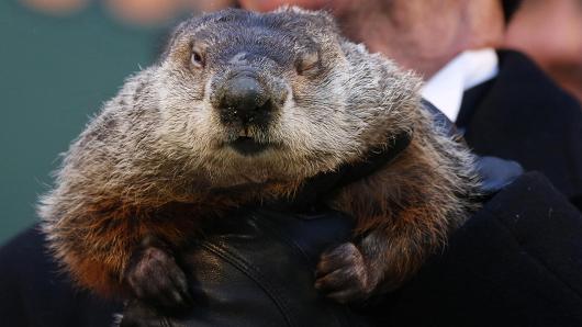CNBC's tweet photo. Groundhog Day: Punxsutawney Phil weighs in https://t.co/6qDAuOf7j4 https://t.co/yPFmInJaSb
