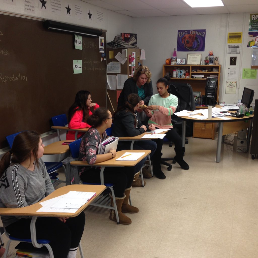 FestusR6Supt's tweet image. 8th Grade FMS studying STARFISH. #ScienceGuy