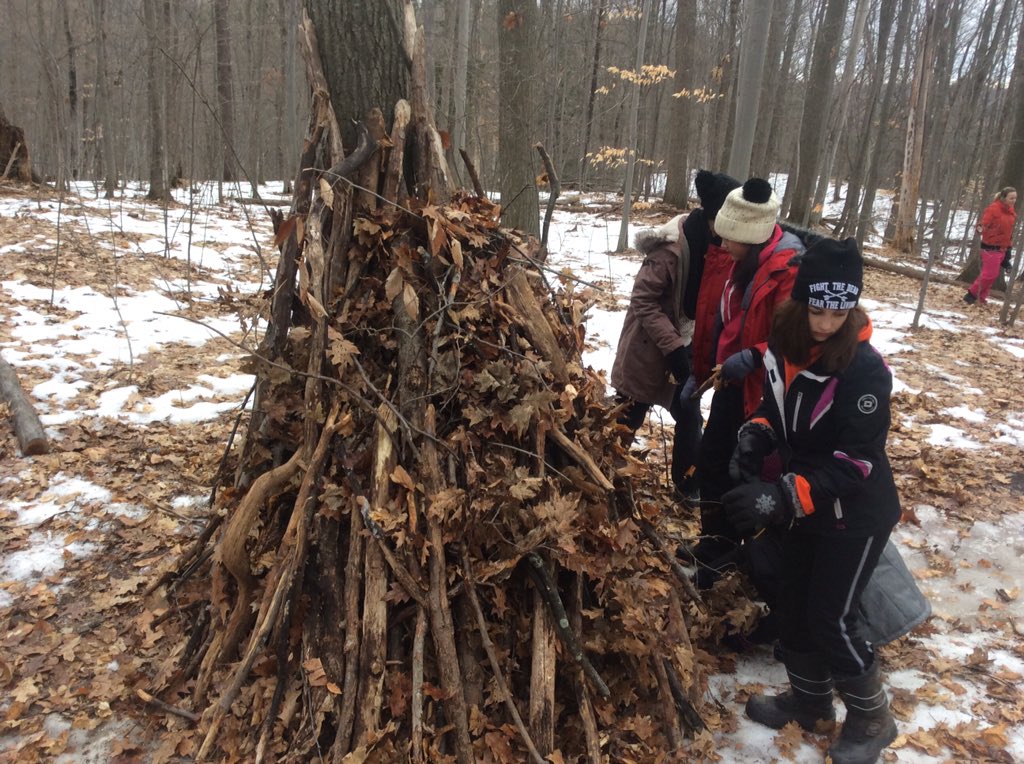 ugdsb's tweet photo. MT @MrBrownGuelph: Learning to Survive @MansfieldOC Building shelter with @johngaltps with @Mrs_Drumm #GoJagsGo https://t.co/5zETTBqp47
