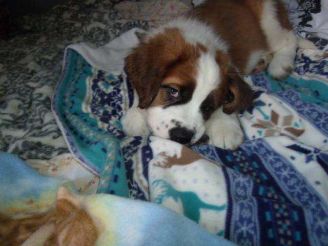 PattiannBeam's tweet photo. Just got back from Ohio with my baby, https://t.co/AZketvDXMv