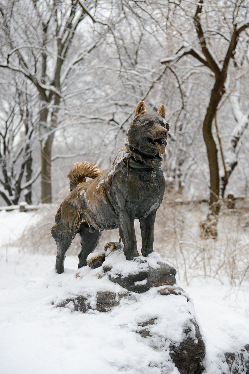 NYCParks tweet picture