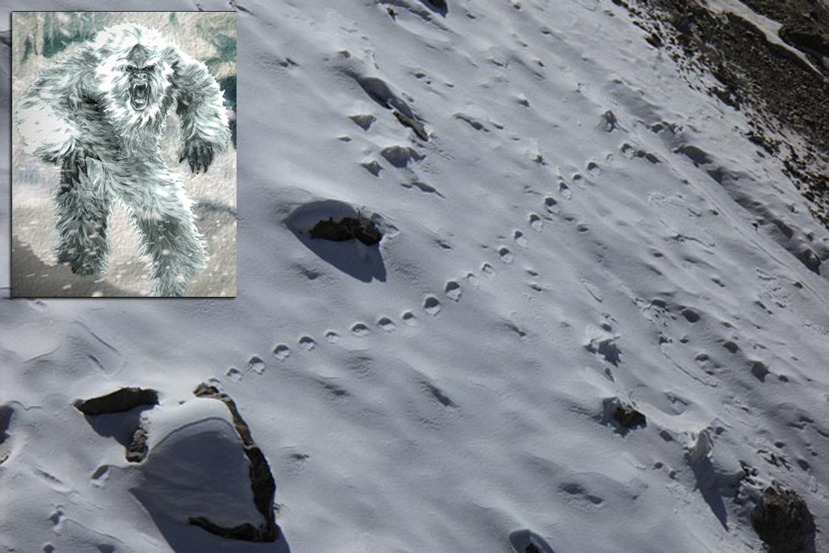 Chohan_Crypto's tweet photo. Un alpiniste britannique prétend avoir pris en photo des traces de pas de l’insaisissable Yéti ! https://t.co/syYI1qKew9