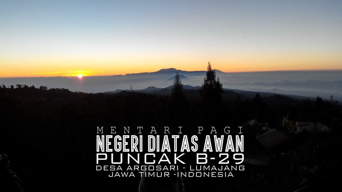 MENTARI PAGI
NEGERI DIATAS AWAN
LUMAJANG - JAWA TIMUR