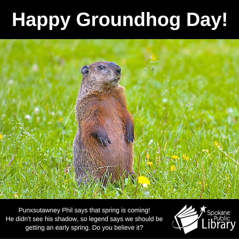 spokanelibrary's tweet image. Spring is coming! #GroundhogDay #SpringIsComing #SpokaneLibrary