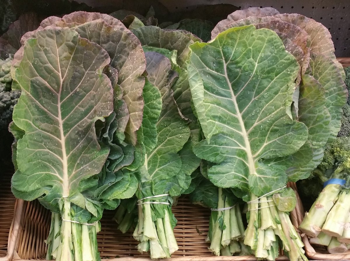 RainbowCoOp's tweet photo. Cold-shocked collards are even sweeter than before. Thanks to @twodogfarmsllc for getting out in cold for us. https://t.co/faVnfUR23I