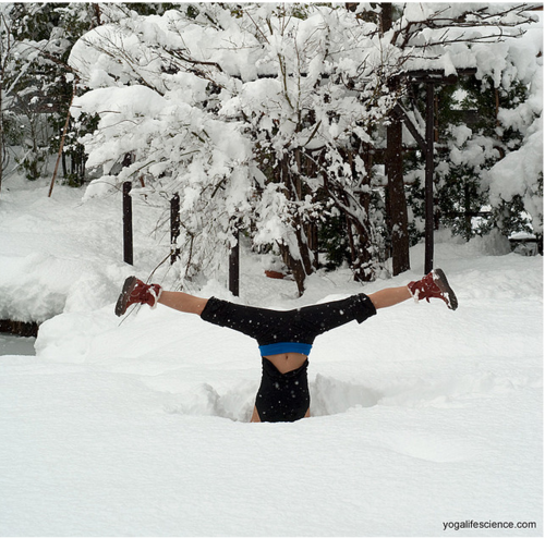 Kindness Yoga tweet media