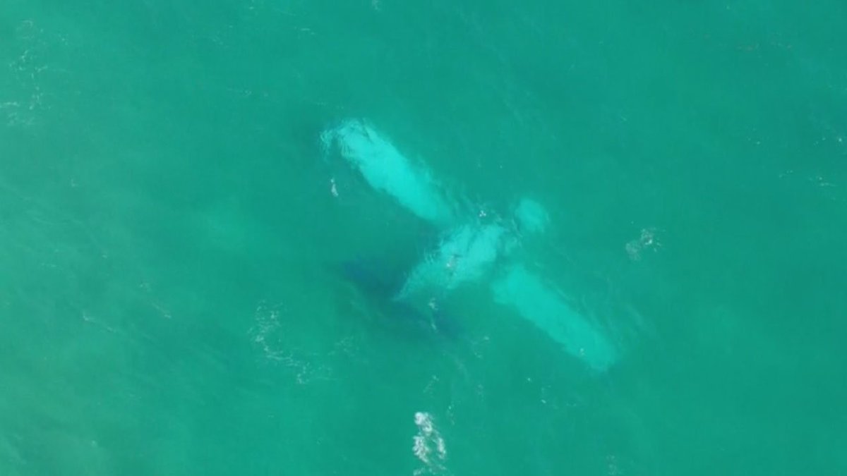 #BREAKING Small plane crashes off the shore of Haulover Beach bit.ly/1P3s8vq?utm_me… https://t.co/IzcrZqbnxV