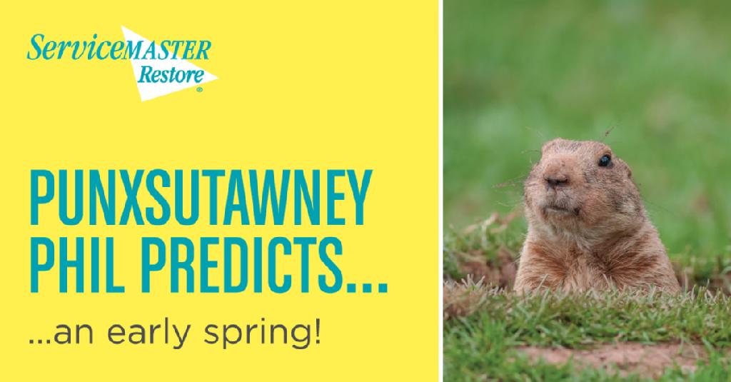 Great news!  Happy Groundhog day!