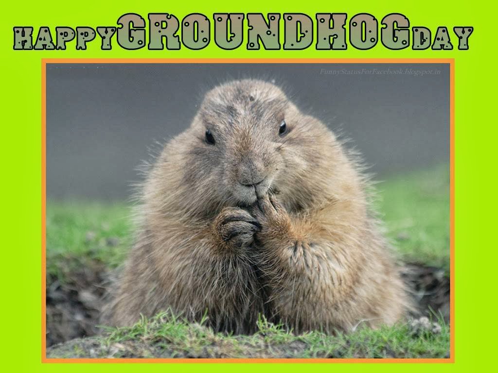 ShowMeTheParts's tweet image. Happy Groundhog Day!! Where were you last year? #groundhogday #winterorspring