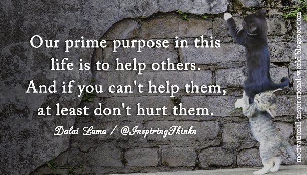 InspiringThinkn's tweet photo. Our prime purpose in this life is to help others. And if you can't help them, at least don't hurt them.  Dalai Lama https://t.co/neWYcW5bEk