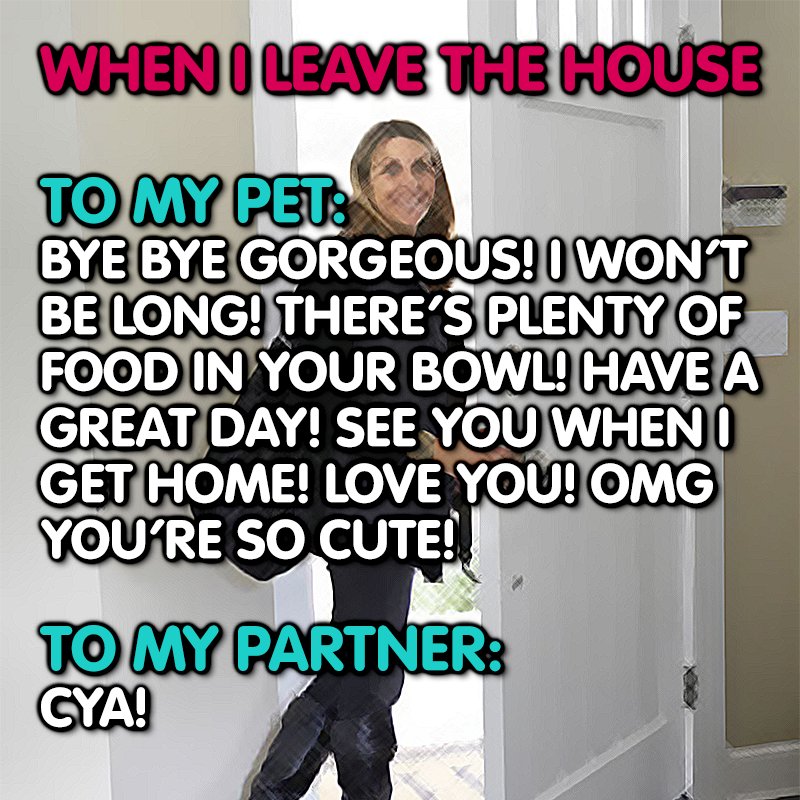 Class A Pet Care tweet media