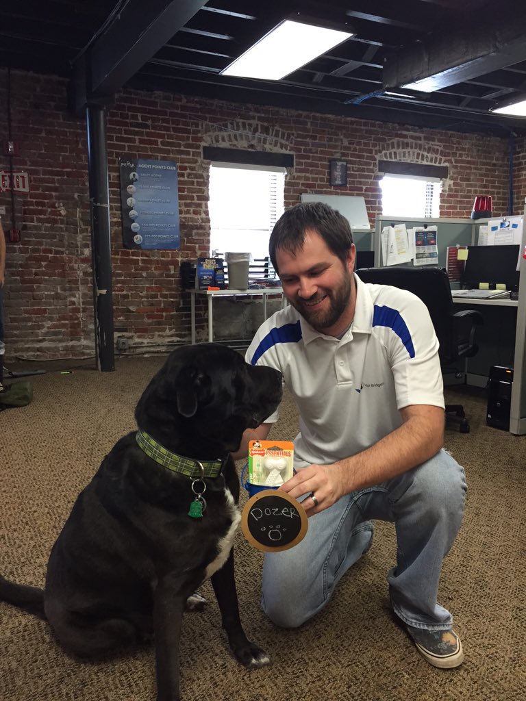 VastBridges's tweet photo. Everyday someone brings in their dog. #dogsatwork makes a #happyworkplace https://t.co/3nYgELMNPC