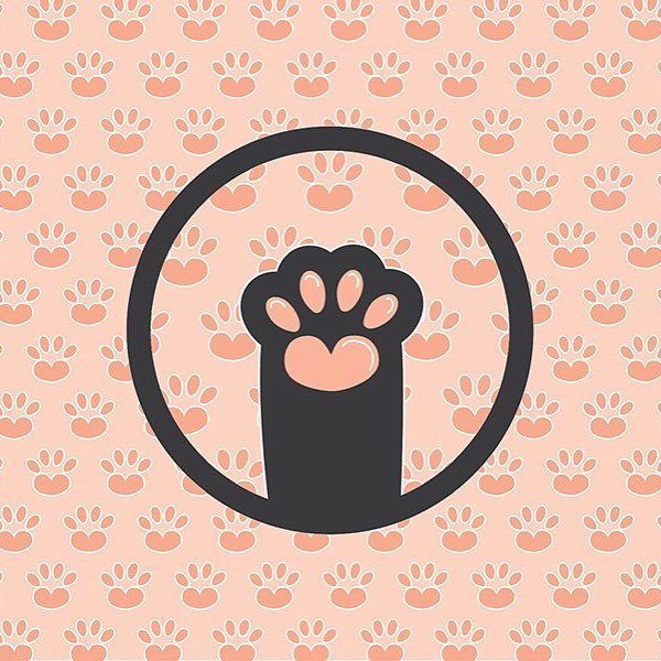 High Meow!, by Dick Blacker 
#meow #highfive #afflatus ift.tt/1nDuCr1
