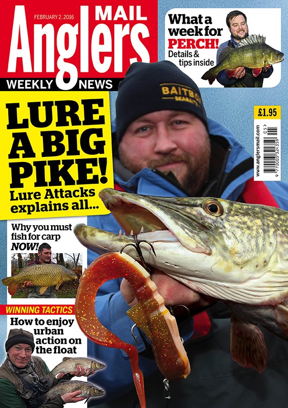 AnglersMail's tweet photo. See our pick of best new gear &amp; read a raft of brilliant new features in the new @AnglersMail magazine - out now! https://t.co/PvAgipUhqz
