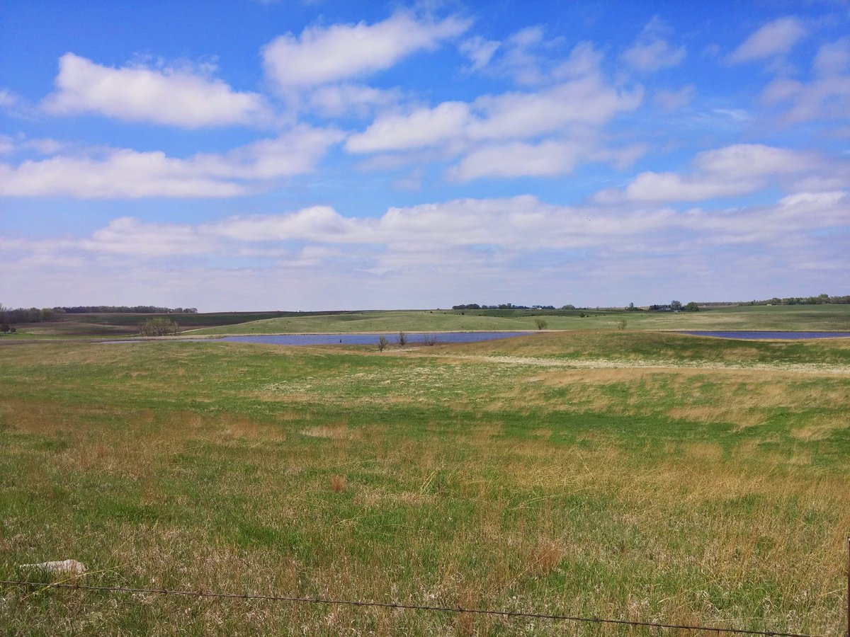 jfarkas14's tweet photo. Our wonderful #SD field sites for #WorldWetlandsDay! #Kerbysark @EcologyProf #GearedUp https://t.co/eRJUh5rfXX