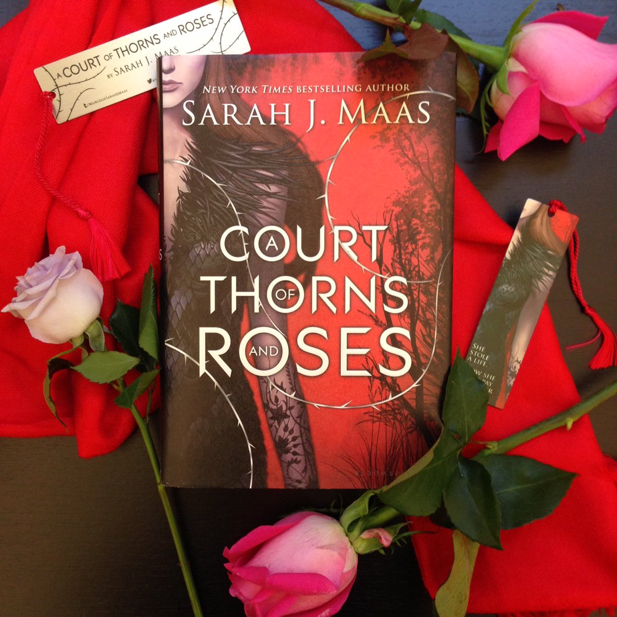 bloomsburykids's tweet photo. A COURT OF THORNS AND ROSES by @SJMaas is today's Kindle Daily Deal. Get it for $1.99! https://t.co/rUg1PbAAfv https://t.co/PRSmwUhIy9