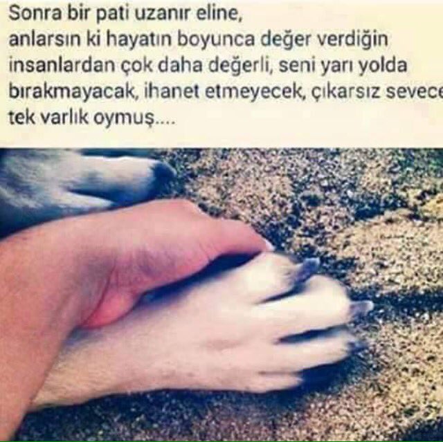 EmreAcay's tweet photo. #sensizolmaz https://t.co/RaiGJ3hha8