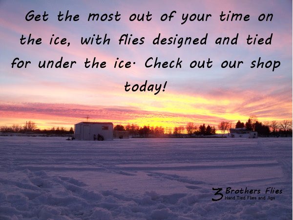 3brothersflies's tweet photo. Having trouble getting those mid-winter panfish to bite? https://t.co/hjFsMG2C2T #icefishing #iceflies #fishing #ice https://t.co/DhNZzTSGUE