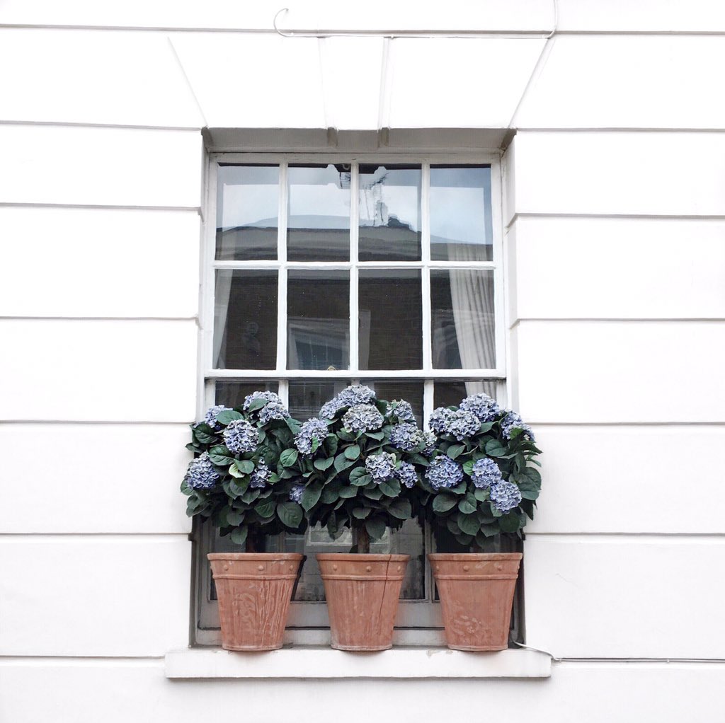 ArabellaGolby's tweet photo. Window box? Nah. HUGE WINDOW POTS? YES. #windowboxgoals π³π³π³ https://t.co/V1nZYwmBTJ