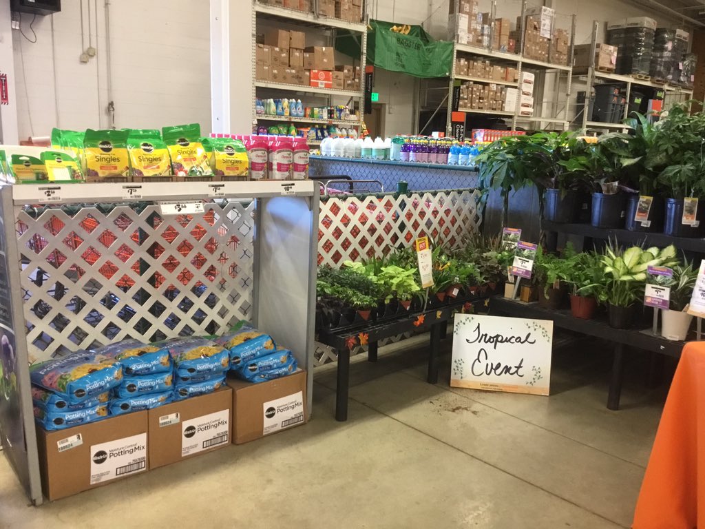 ParkvilleHD2577's tweet photo. #Trops #Tropicals #TropEvent #Plants #LiveGoods #ParkvilleHomedepot https://t.co/DTGcGNazp1