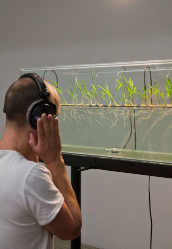 _neural's tweet photo. @freshmania_de – #Biophonic #Garden, #botanical #sound #communications, https://t.co/EEVlcRkj4q #soundart #220hz https://t.co/aYFN3173b2