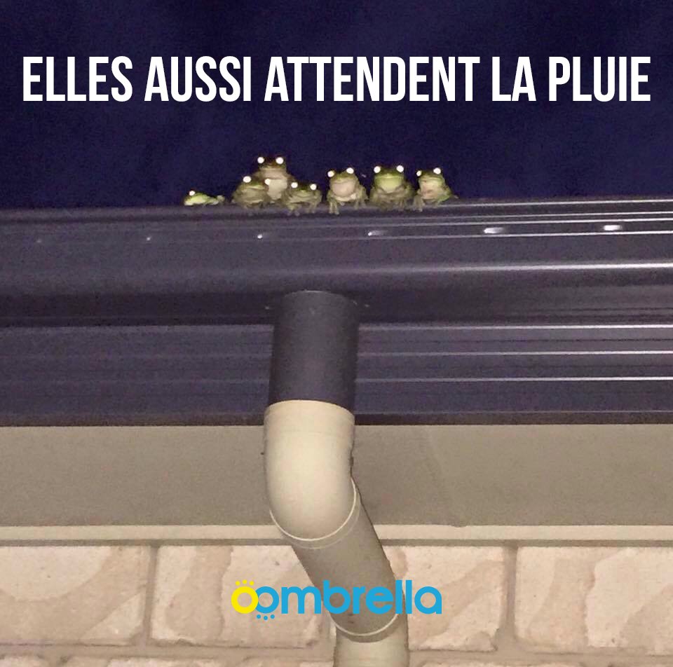 wezzoo_fr tweet media