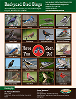 DavisLakesCamp's tweet photo. Love bird watching? Get our free printable Backyard Birds Bingo game. https://t.co/aHOCtyVw6h #birdwatching #vabirds https://t.co/jO6F1H27gH