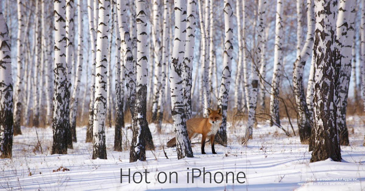fscaast's tweet photo. So hot. Firefox is now available for iOS! https://t.co/8WqxT228kX https://t.co/MjRQwh5K2P
