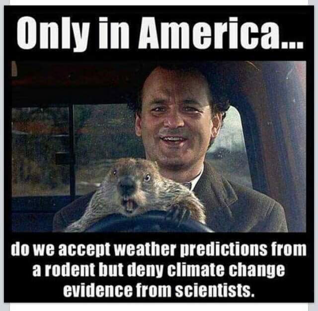 walkerrossf's tweet image. Tempus Global Data "We see weather before there is weather."
Tempusglobaldata.com