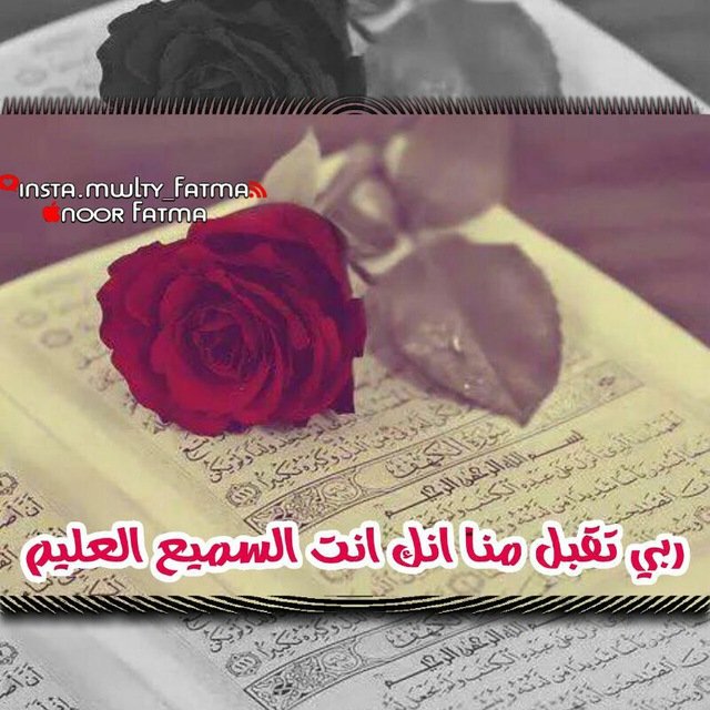 نور البغداديه (@samiyaabbad) on Twitter photo 