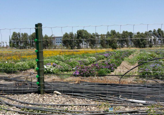 Our D-Fence Perimeter Security Systems are proven &amp; affordable. Don't compromise on security!