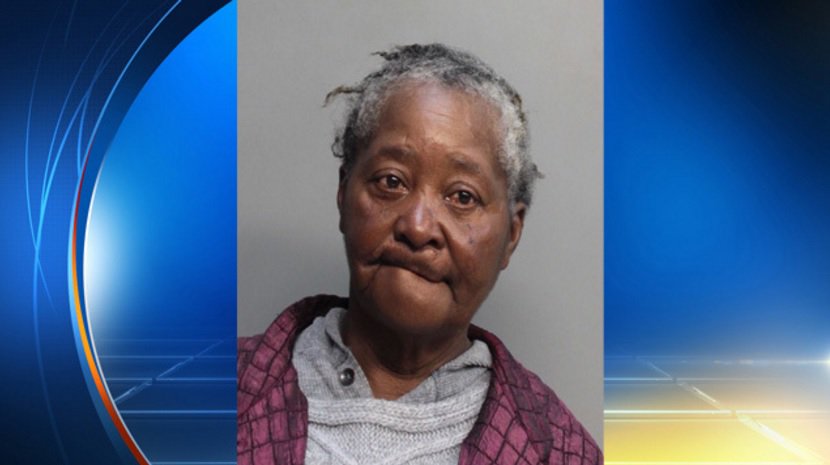 S. Fla. woman arrested on animal abuse charges after 10 #puppies die in her care bit.ly/1UH2P3R?utm_me… https://t.co/CvDtO8DwR6