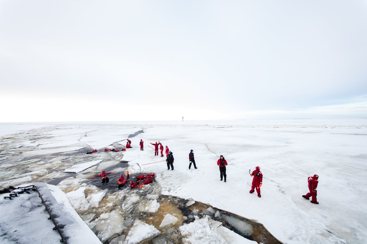 Txertatutako irudiaren behin betiko esteka