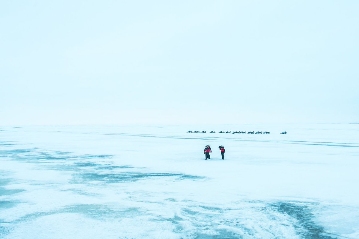 Txertatutako irudiaren behin betiko esteka