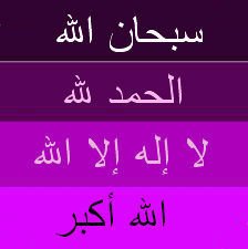 88l8 tweet picture