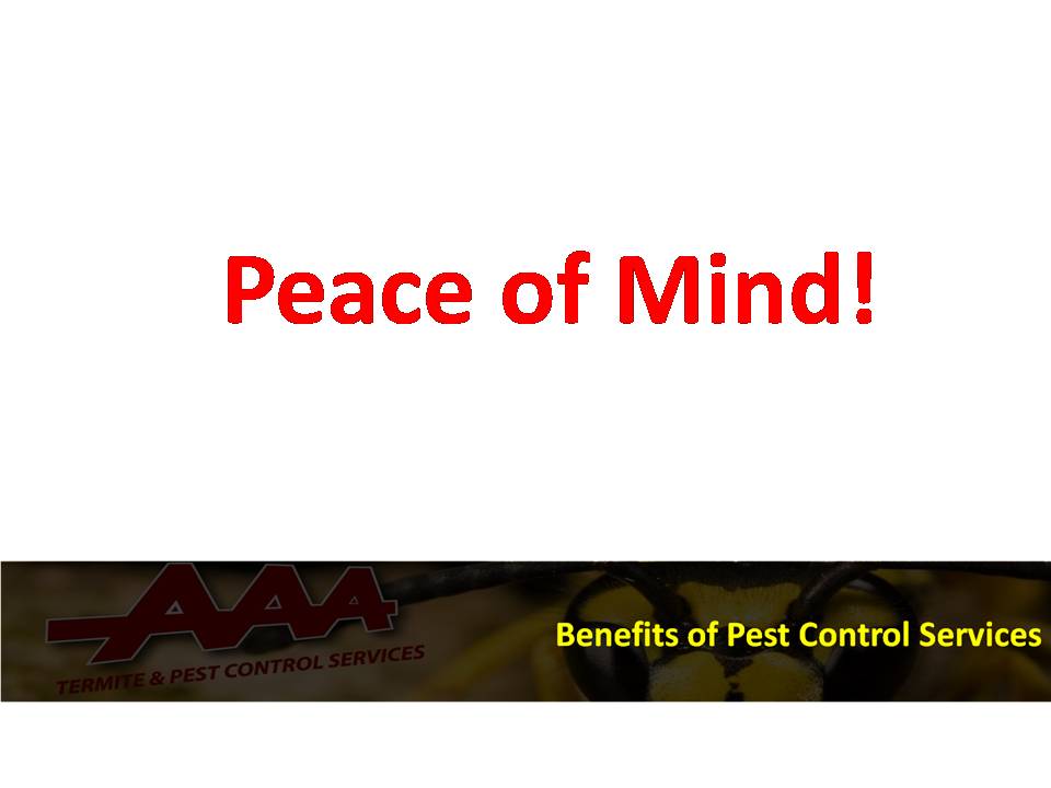 AAA Pest Control (@AAAPestServices) / Posts / X